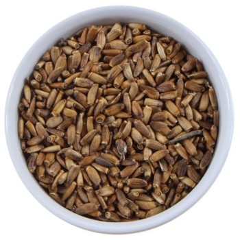 Ostropest plamisty ziarno - suplement diety